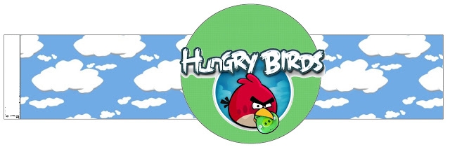 Angry Birds Temalı Doğum Günü Partisi 